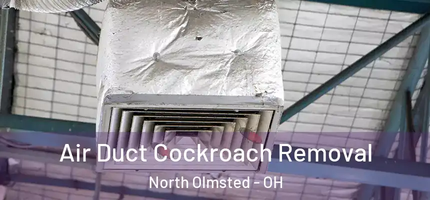 Air Duct Cockroach Removal North Olmsted - OH