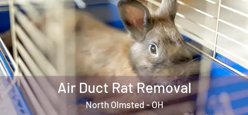 Air Duct Rat Removal North Olmsted - OH