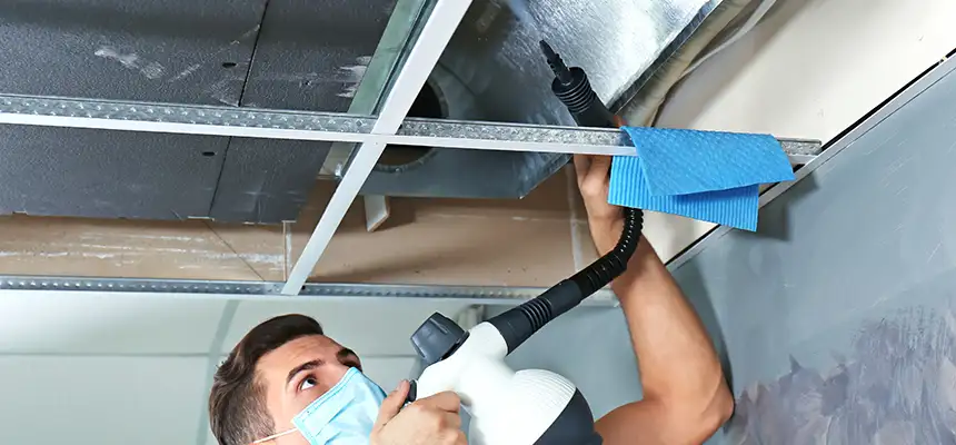 Our Air Duct Rodent Removal Services in North Olmsted, OH