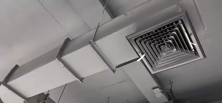 Our Pest Removal From Ducts Services in North Olmsted, OH