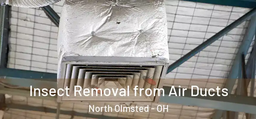 Insect Removal from Air Ducts North Olmsted - OH