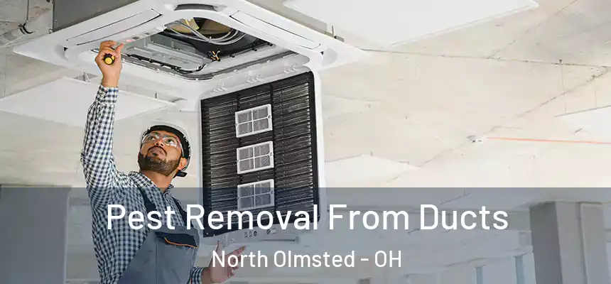 Pest Removal From Ducts North Olmsted - OH