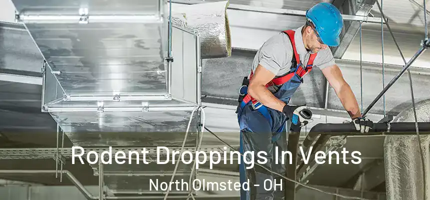  Rodent Droppings In Vents North Olmsted - OH