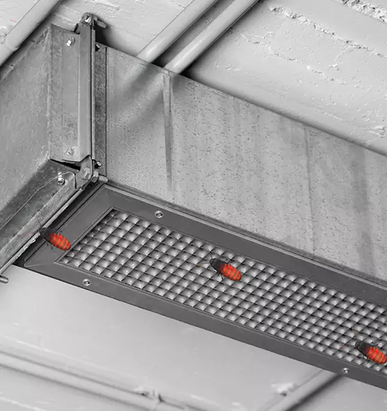 About Air Duct Cockroach Removal in North Olmsted, OH