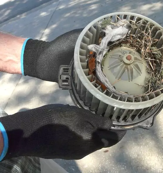 About Air Duct Rat Removal in North Olmsted, OH