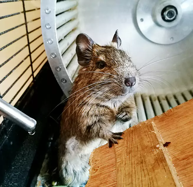 Why Homeowners & Businesses Trust Us North Olmsted, OH